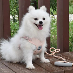Adjustable Dog Harness Vest