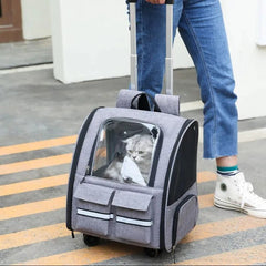 Foldable Pet Travel Backpack