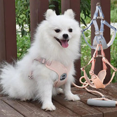 Adjustable Dog Harness Vest