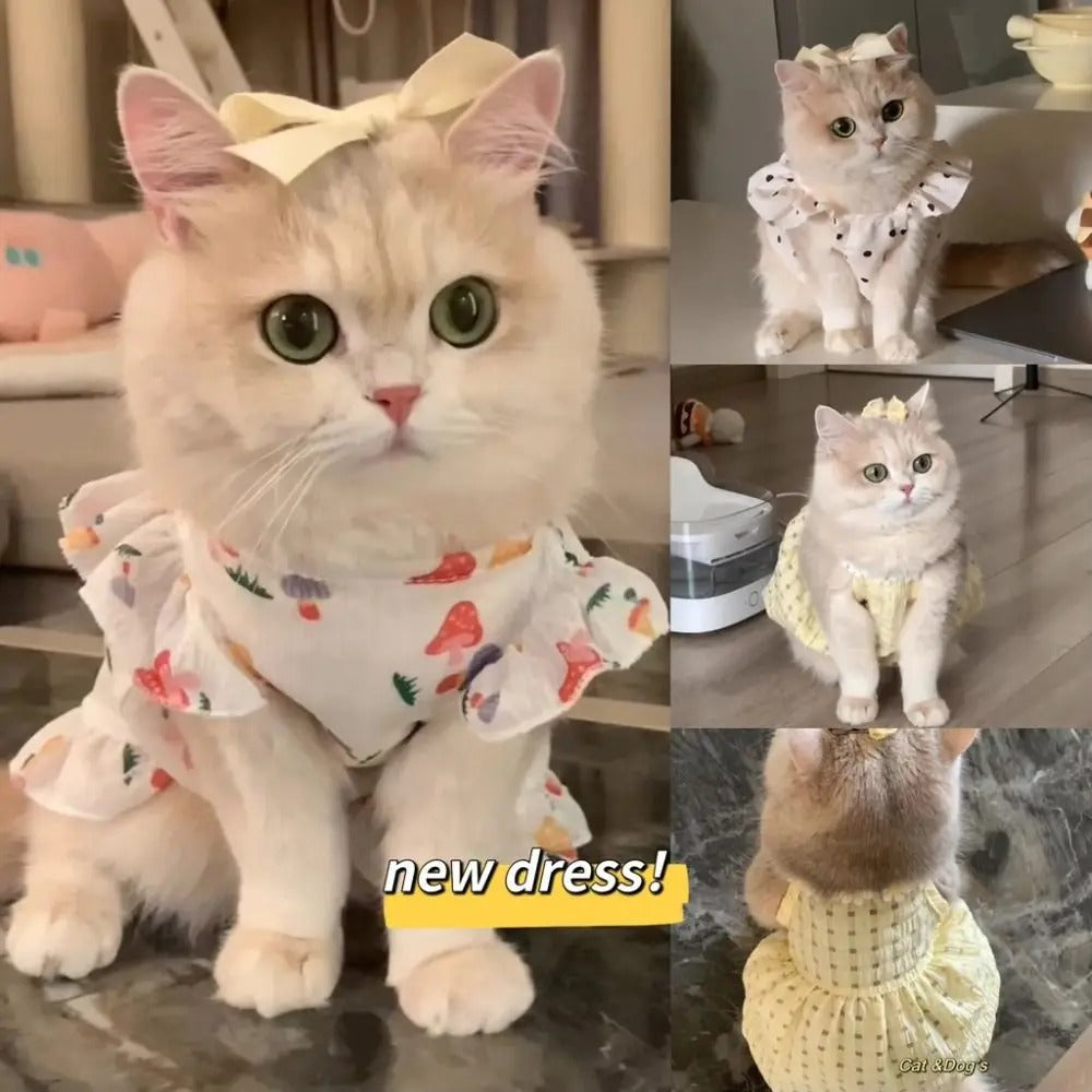 Cute Pet Dog Dress