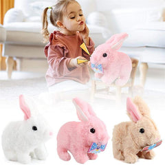 Educational Toy - vuliza