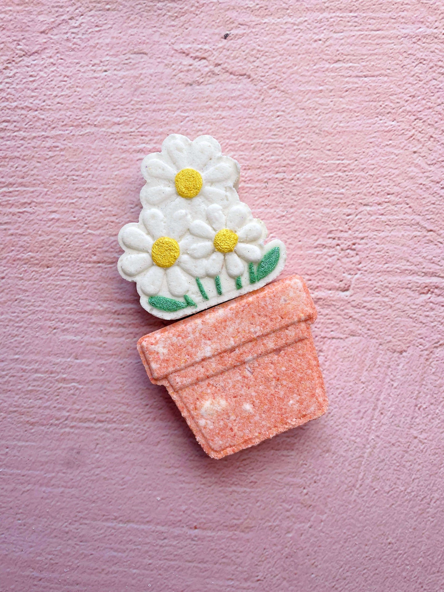 Pot of Daisies Bath Bomb - Caitly