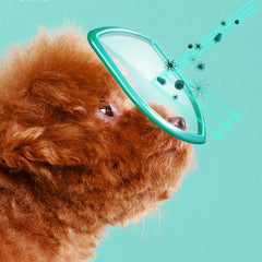 Pet Tear Stain Wipes
