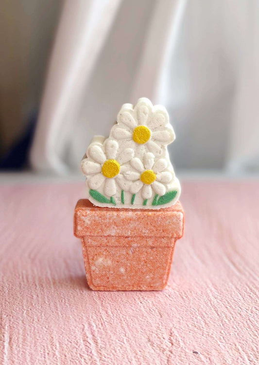 Pot of Daisies Bath Bomb - Caitly