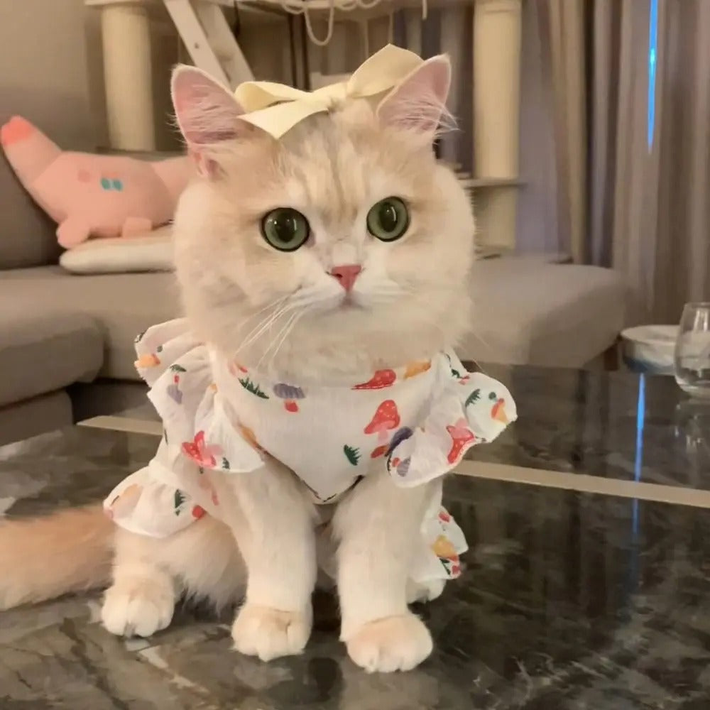 Cute Pet Dog Dress