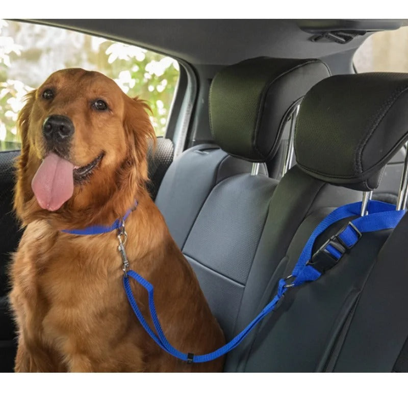 Dog Car Safety Harness