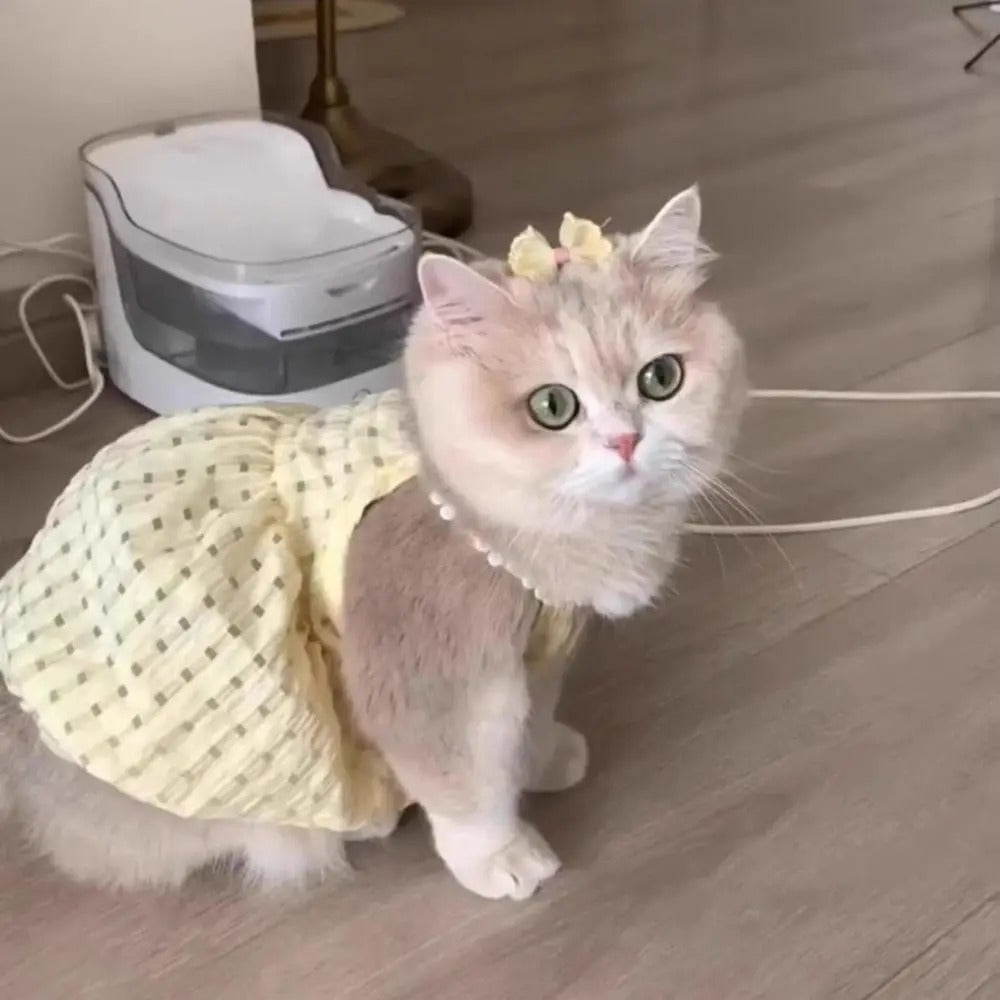 Cute Pet Dog Dress