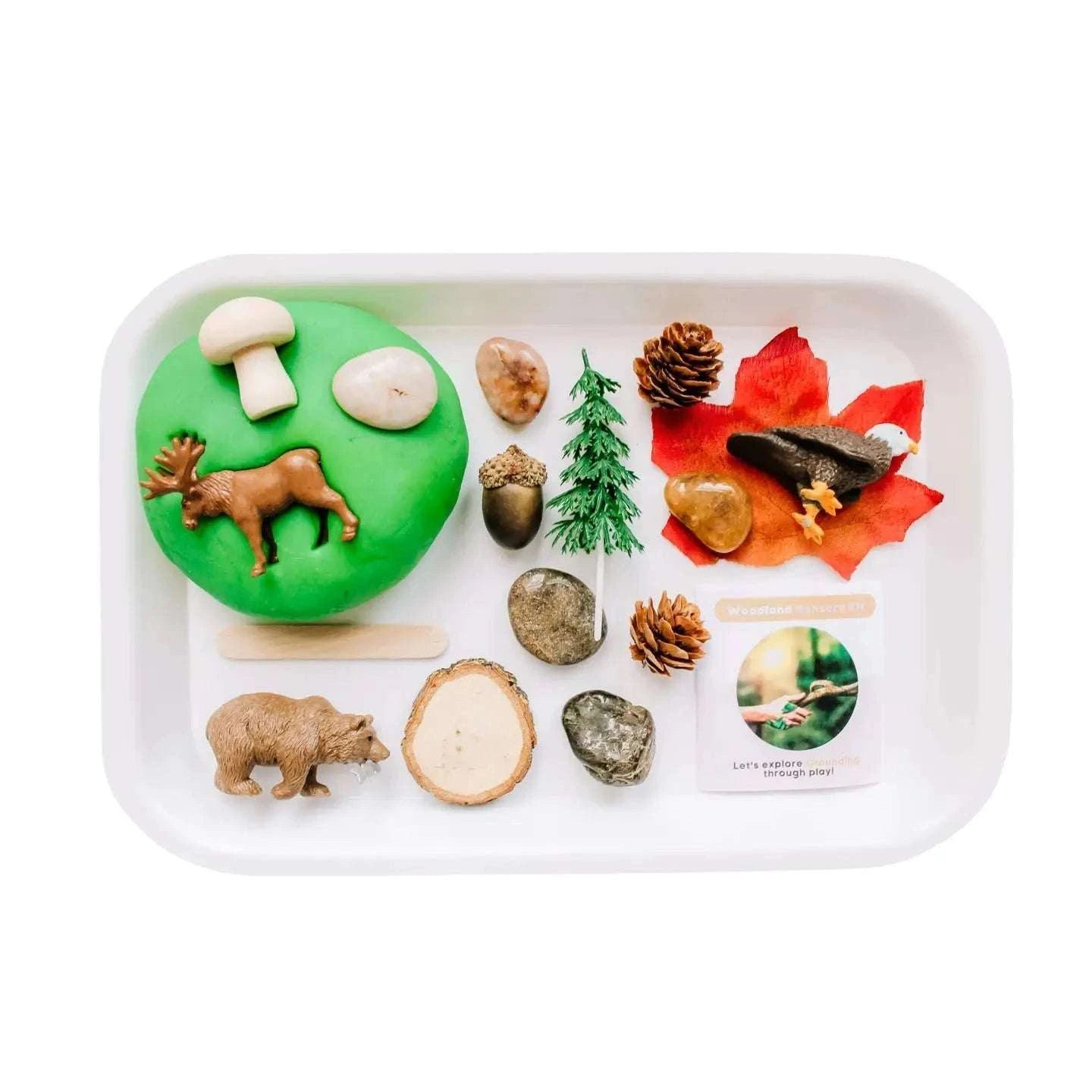 Children's Sensory Play Dough Kit - Caitly