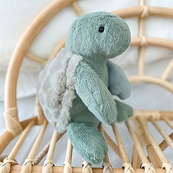 Mon Ami Taylor Cuddle Turtle Plush Toy - Caitly