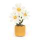 Amuseables Daisy - Caitly