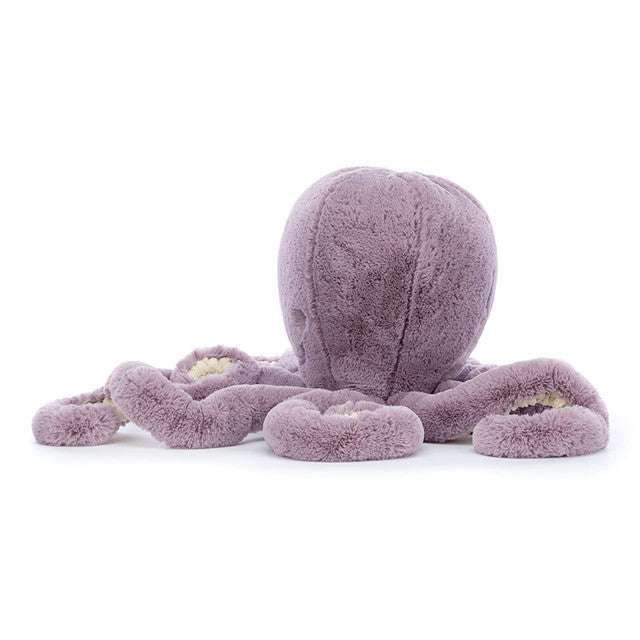 Maya Octopus Jelly cat
