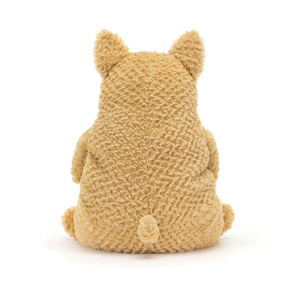 Amore Corgi - Caitly