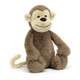 Bashful Monkey - Caitly
