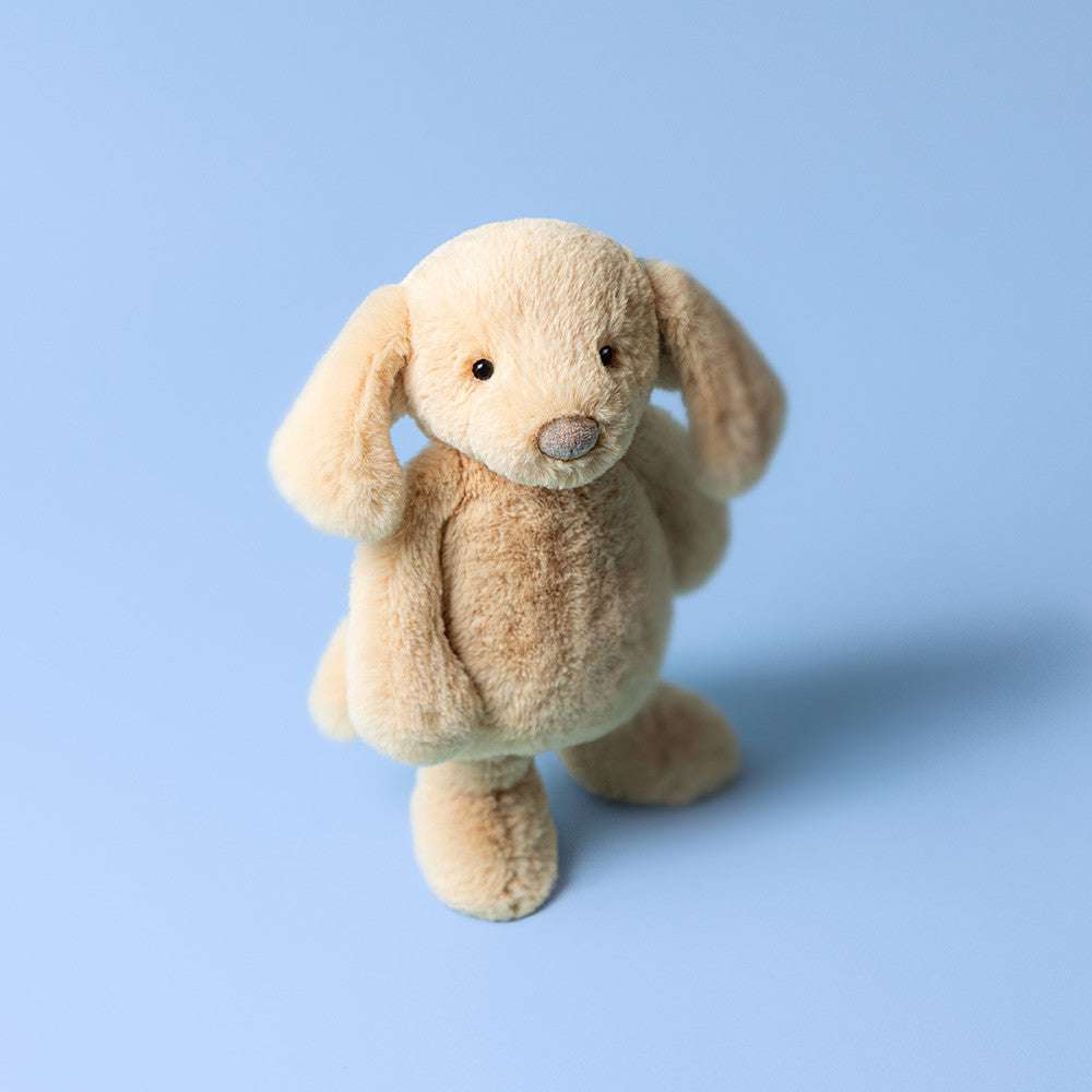 Bashful Luxe Puppy Orlando Big Jelly cat