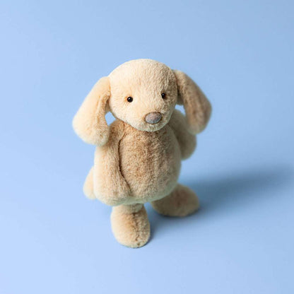 Bashful Luxe Puppy Orlando Big Jelly cat