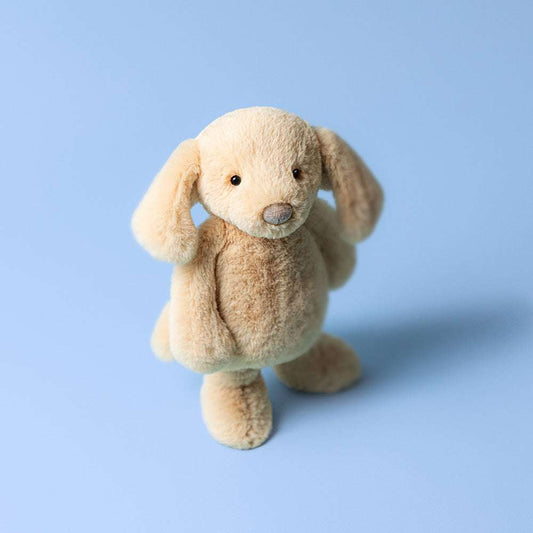 Bashful Luxe Puppy Orlando Big Jelly cat