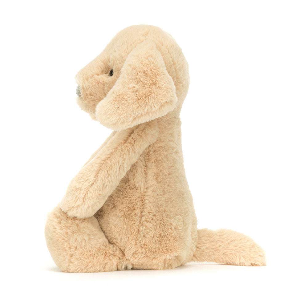 Bashful Luxe Puppy Orlando - Caitly