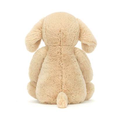 Bashful Luxe Puppy Orlando - Caitly