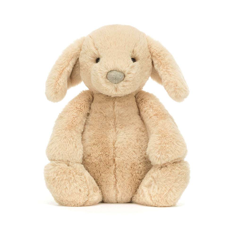 Bashful Luxe Puppy Orlando - Caitly