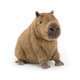 Clyde Capybara - Caitly