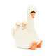 Featherful Swan - Caitly