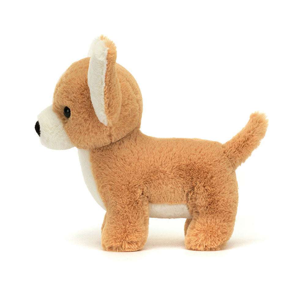 Isobel Chihuahua - Caitly