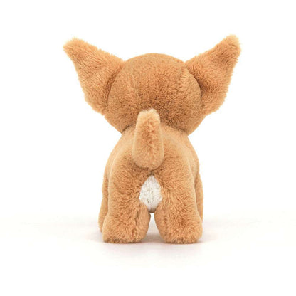 Isobel Chihuahua - Caitly