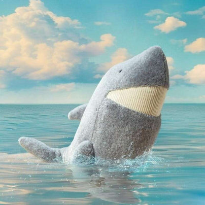 Silvie Shark - Caitly