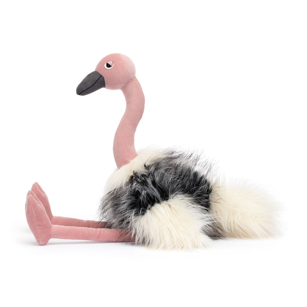 Ramonda Ostrich - Caitly