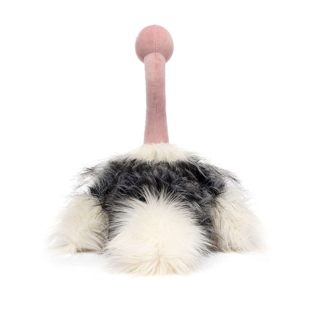 Ramonda Ostrich - Caitly