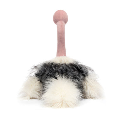 Ramonda Ostrich - Caitly