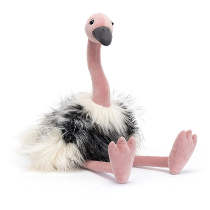 Ramonda Ostrich - Caitly