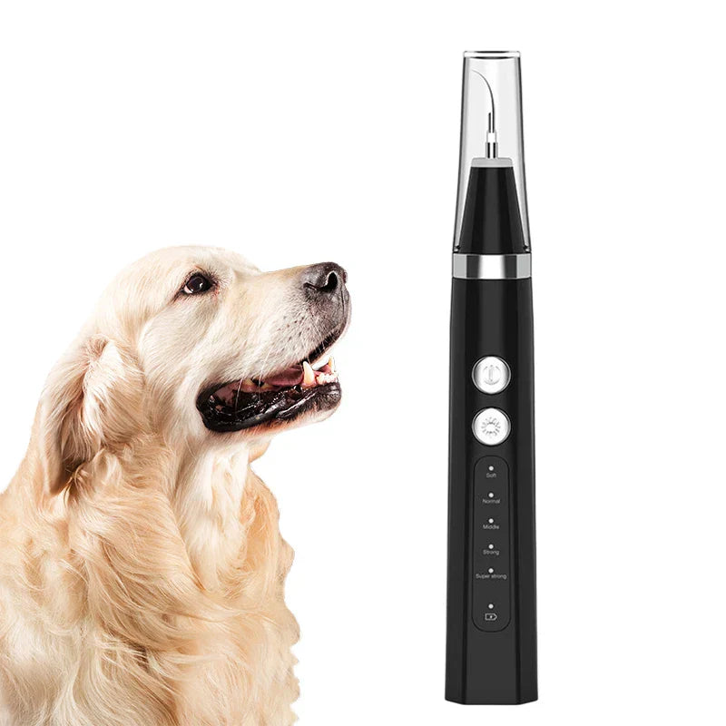 Dog Ultrasonic Dental Scaler - vuliza