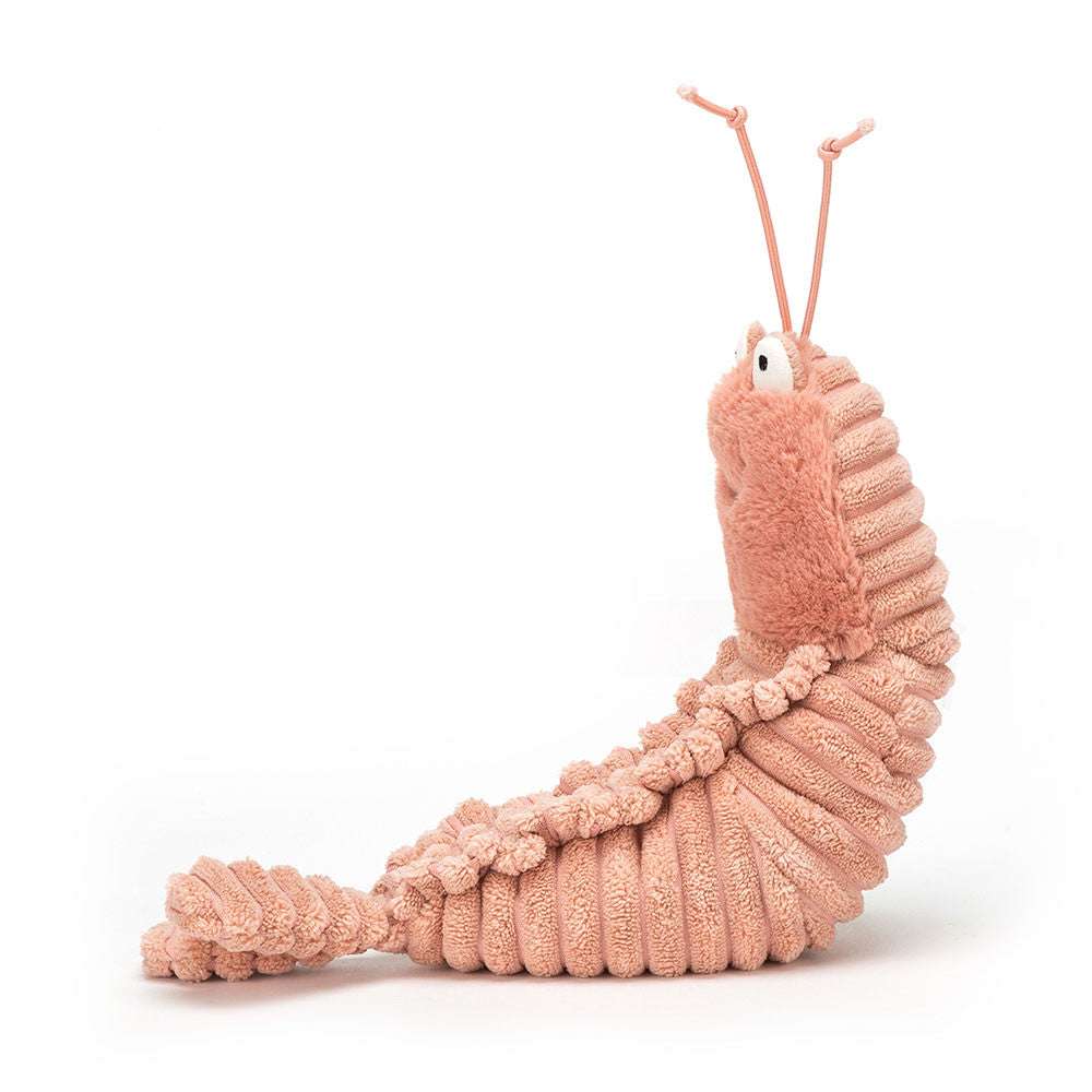Sheldon Shrimp - Caitly