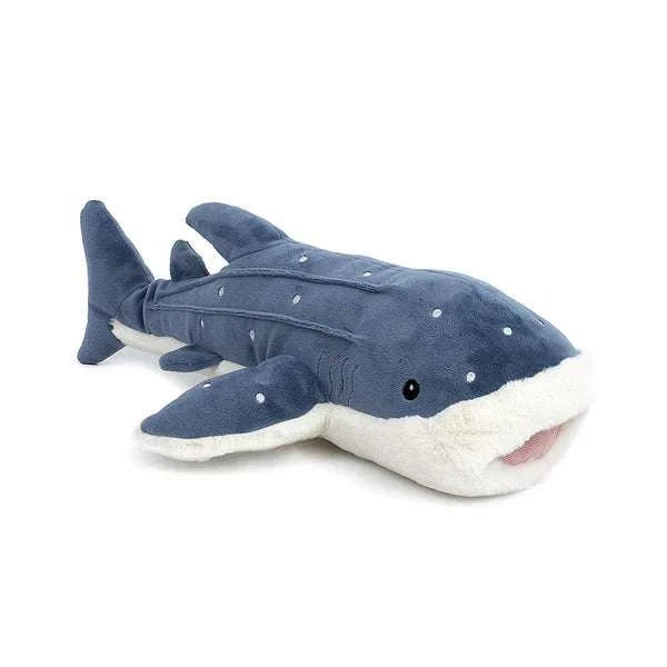 Mon Ami Echo the Whale - Caitly