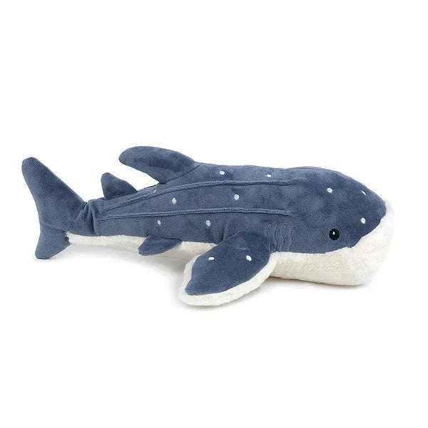 Mon Ami Echo the Whale - Caitly