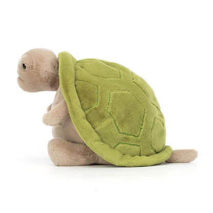 Timmy Turtle - Caitly