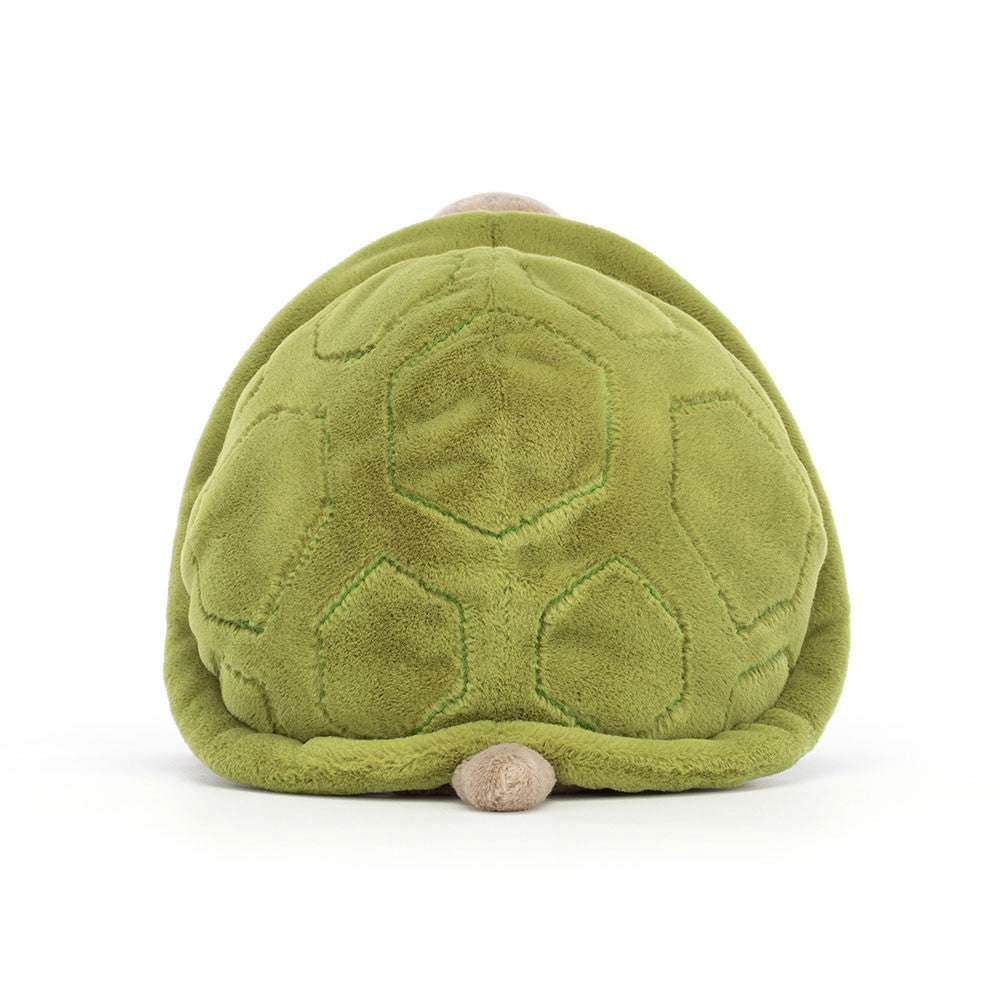 Timmy Turtle - Caitly