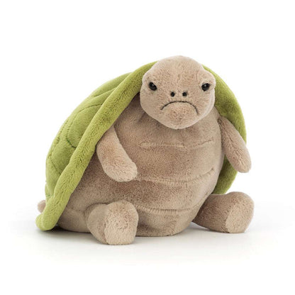 Timmy Turtle - Caitly