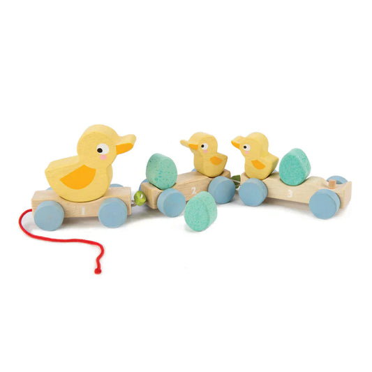 Pull Along Ducks - Caitly