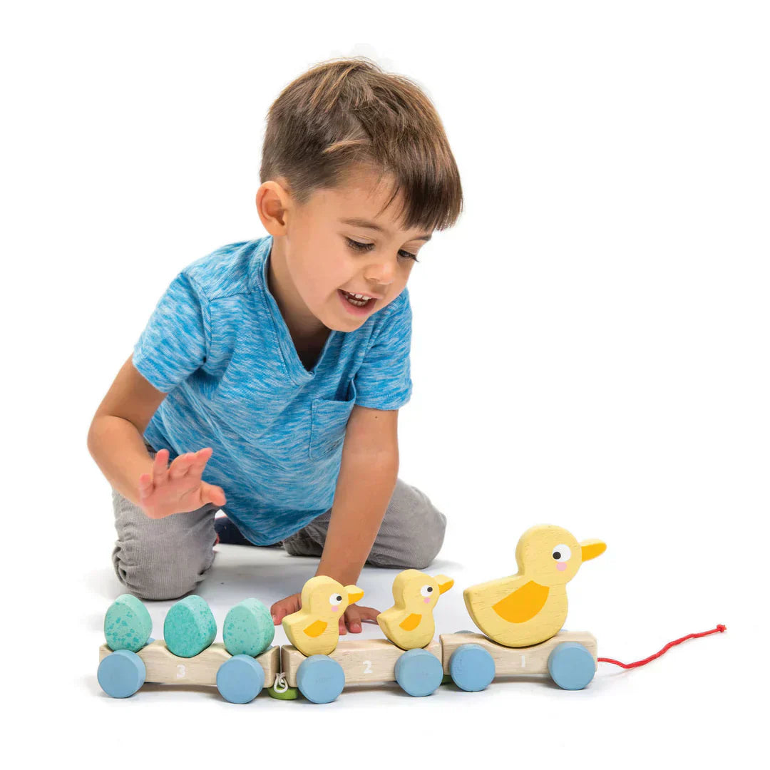 Pull Along Ducks - Caitly