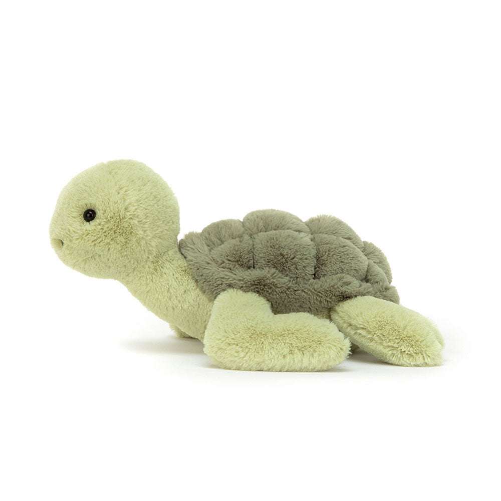 Tully Turtle - Caitly