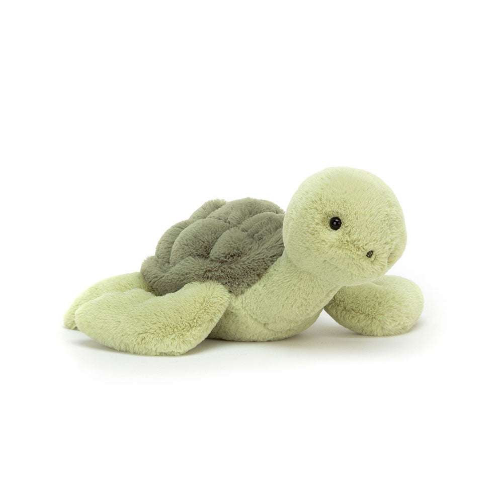 Tully Turtle - Caitly