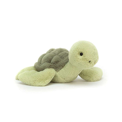 Tully Turtle - Caitly