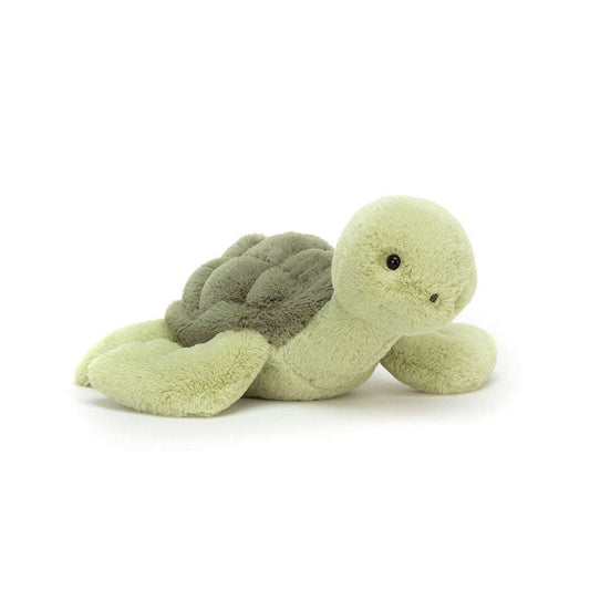 Tully Turtle - Caitly