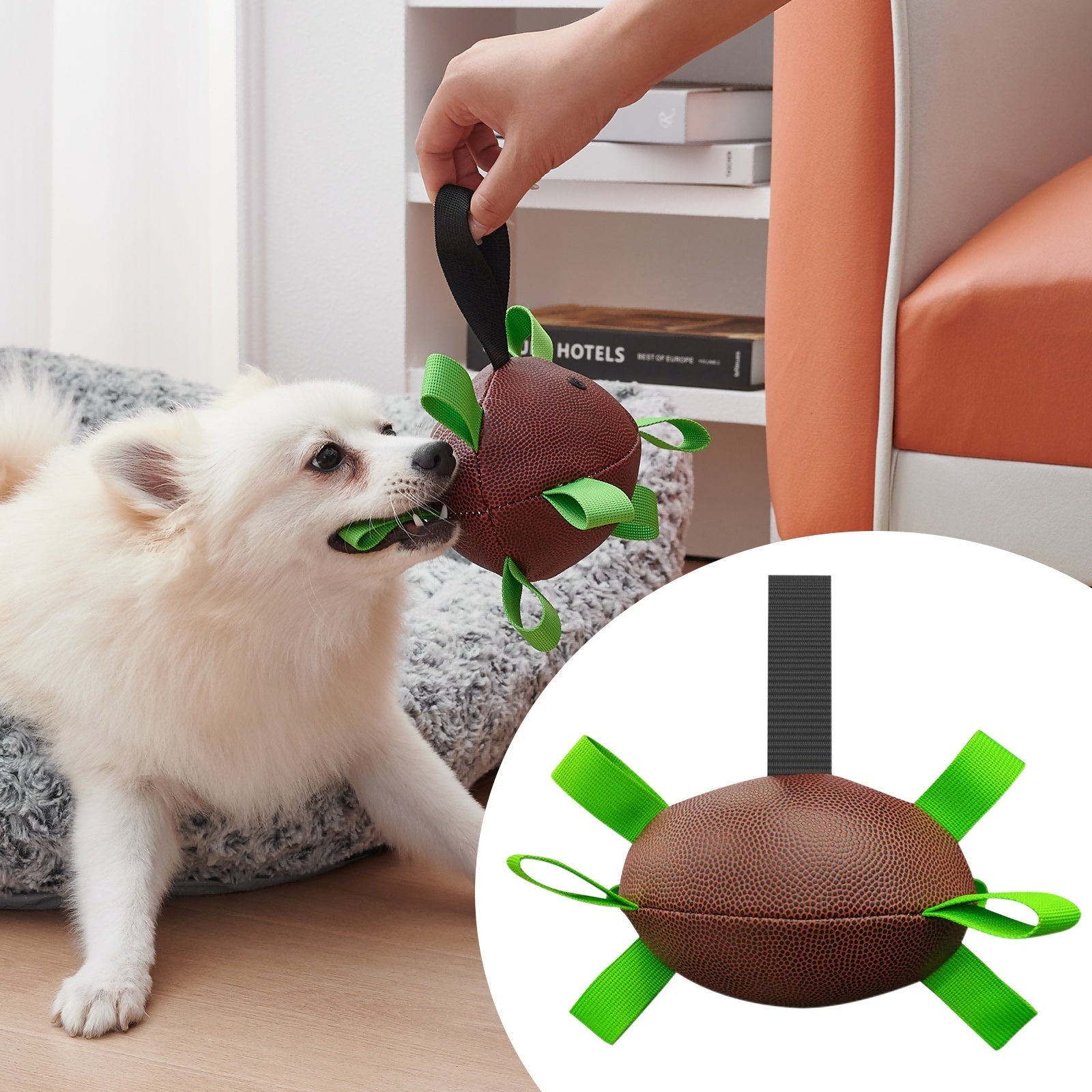 Dog Soccer Training Ball - vuliza