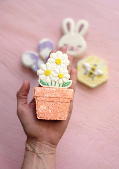 Pot of Daisies Bath Bomb - Caitly