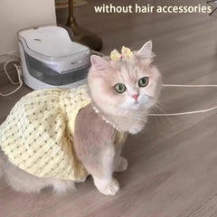 Cute Pet Dog Dress