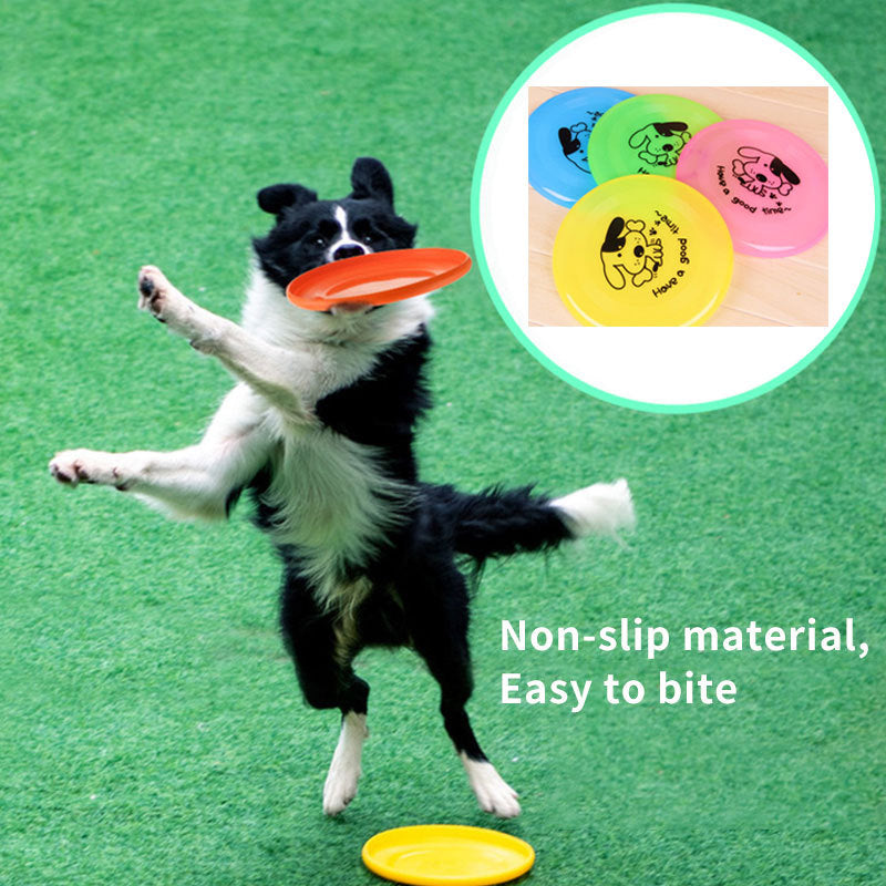 Outdoor Dog Play Toys - vuliza
