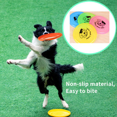 Outdoor Dog Play Toys - vuliza